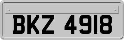 BKZ4918