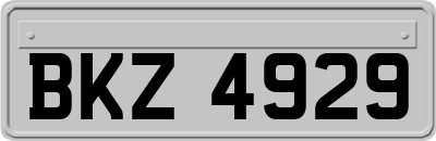 BKZ4929