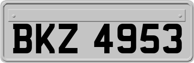 BKZ4953