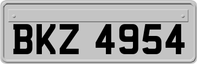 BKZ4954