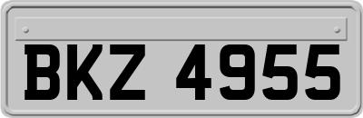BKZ4955