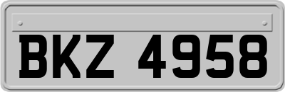 BKZ4958
