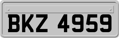 BKZ4959
