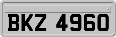 BKZ4960