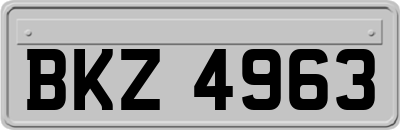 BKZ4963