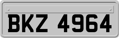 BKZ4964