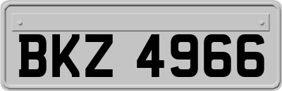 BKZ4966
