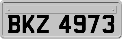 BKZ4973