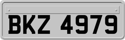 BKZ4979