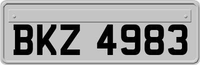 BKZ4983