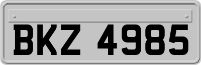 BKZ4985
