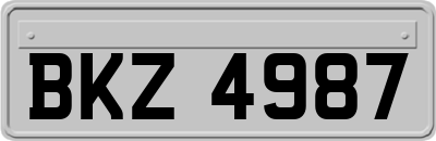 BKZ4987