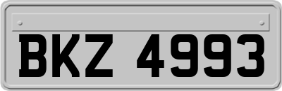 BKZ4993