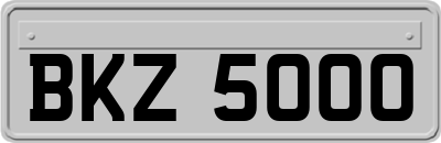 BKZ5000