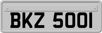 BKZ5001