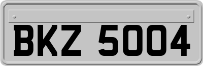 BKZ5004