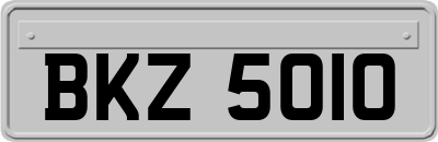 BKZ5010
