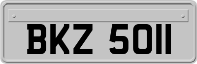 BKZ5011