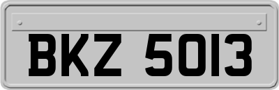 BKZ5013