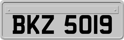 BKZ5019
