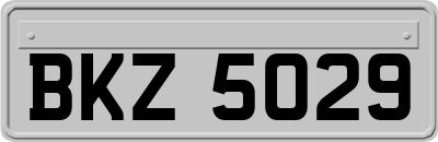 BKZ5029