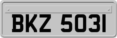 BKZ5031