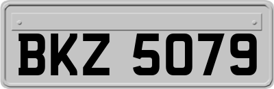 BKZ5079