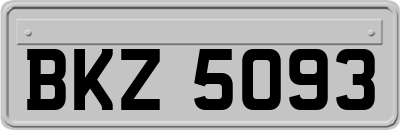 BKZ5093