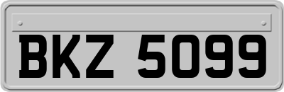 BKZ5099