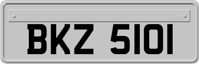BKZ5101