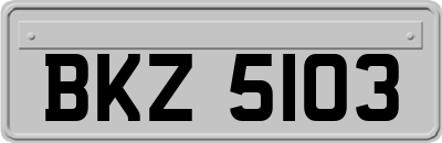 BKZ5103