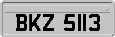 BKZ5113