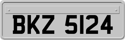 BKZ5124