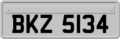 BKZ5134