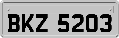 BKZ5203