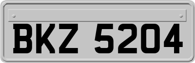 BKZ5204