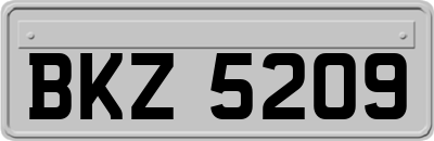 BKZ5209