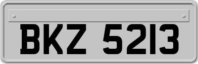 BKZ5213