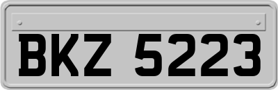 BKZ5223