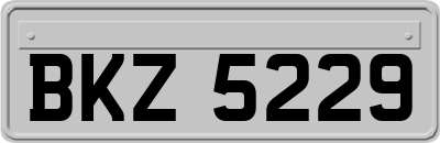 BKZ5229