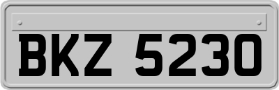 BKZ5230