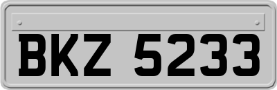 BKZ5233