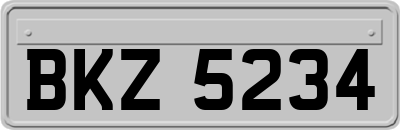 BKZ5234