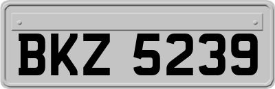 BKZ5239
