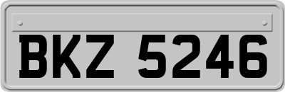 BKZ5246