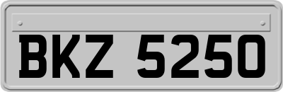 BKZ5250