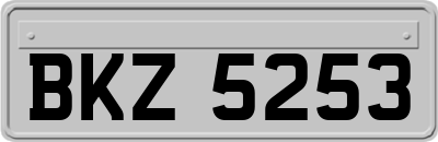 BKZ5253