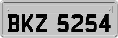 BKZ5254