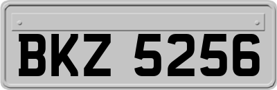 BKZ5256
