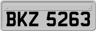 BKZ5263